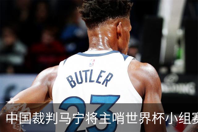 中国裁判马宁将主哨世界杯小组赛第二轮比赛